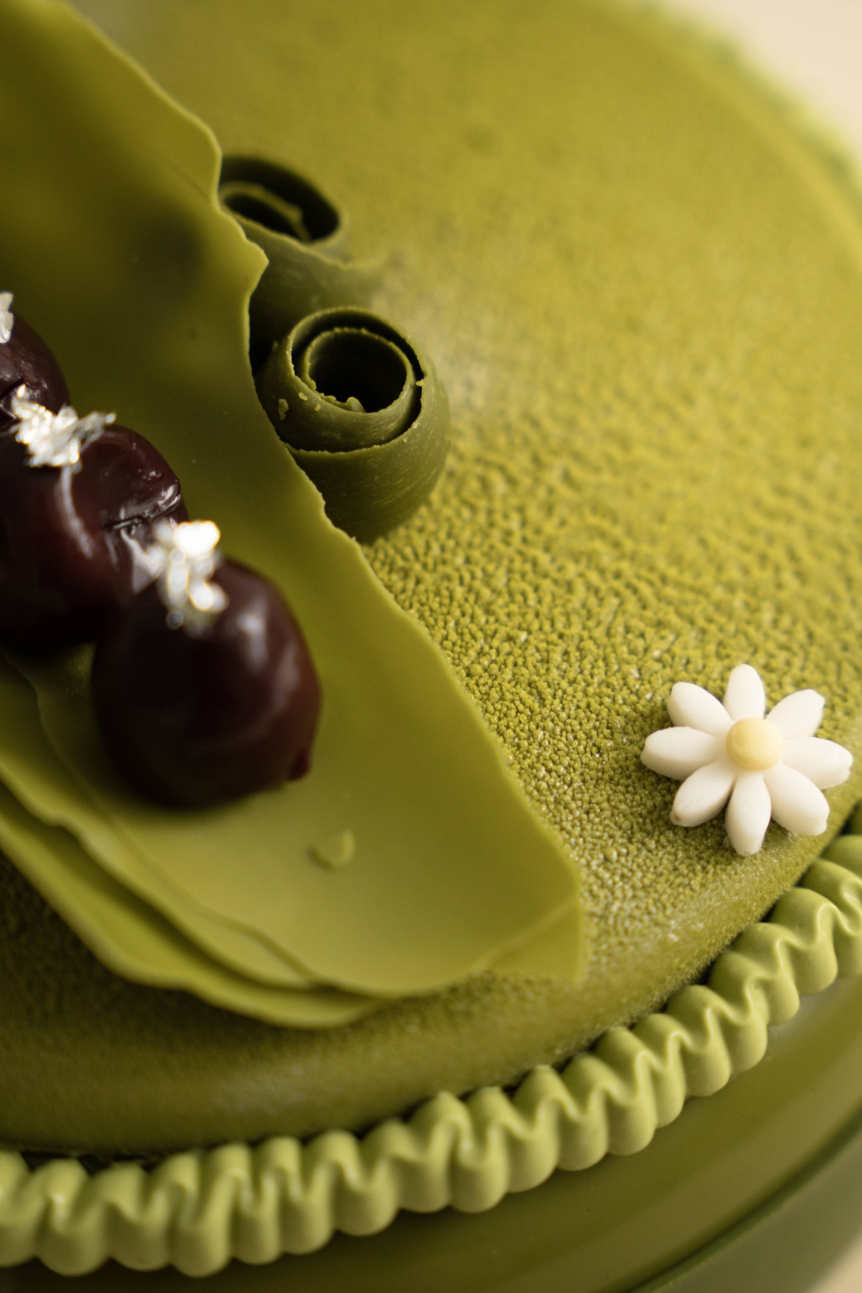 Matcha Forest - Image 3